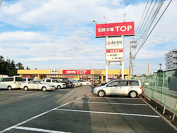 生鮮市場TOP増尾台店（1100m）