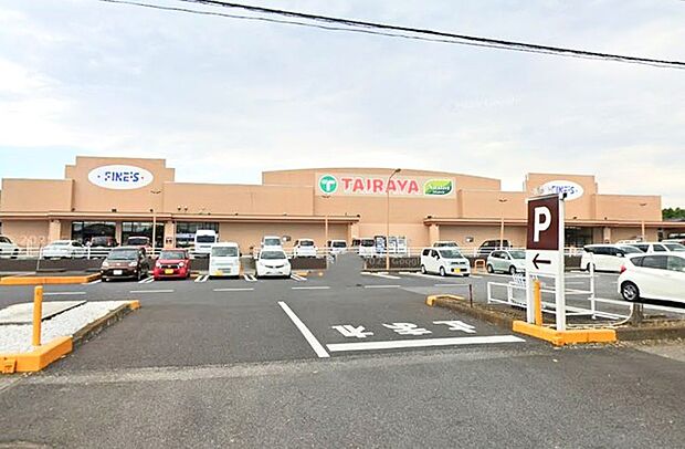 TAIRAYA ファインズ淵頭店(730m)