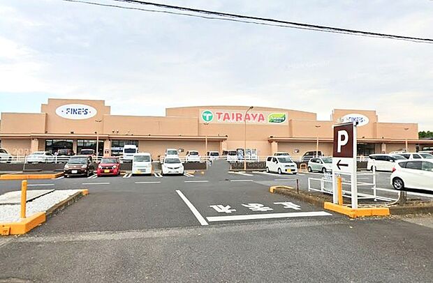 TAIRAYA ファインズ淵頭店（730m）