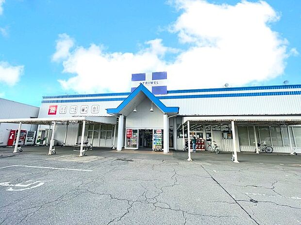 ドラッグストアトライウェル　石岡東光台店（250m）