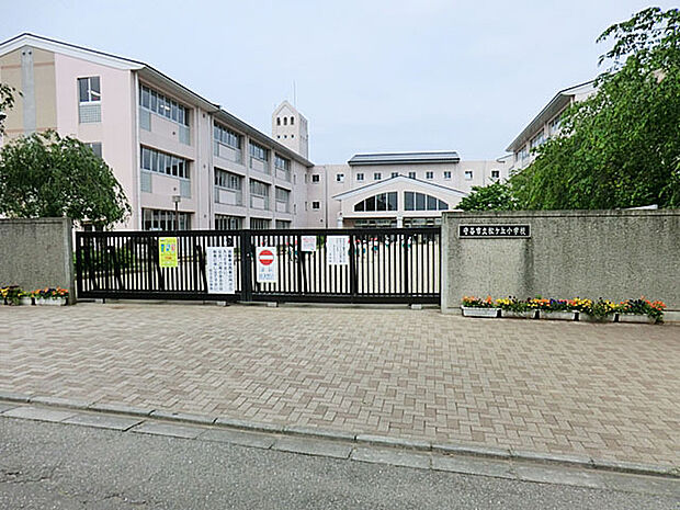 松ケ丘小学校(210m)