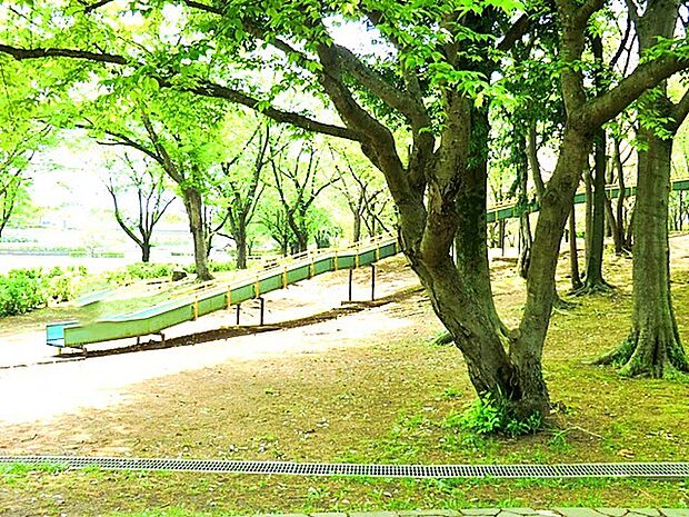 絹の台桜公園(1200m)