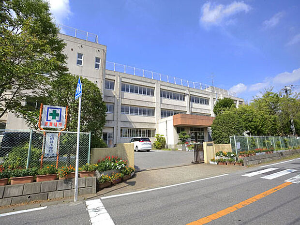 花野井小学校(450m)