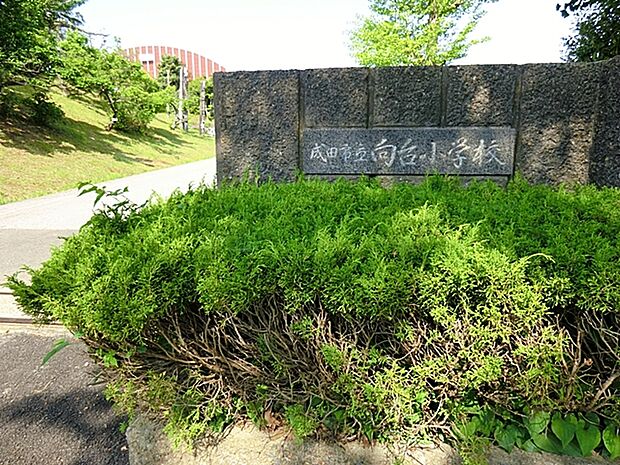向台小学校(230m)