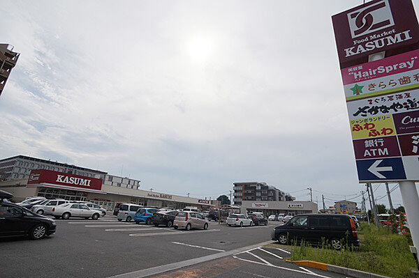 カスミ柏たなか駅前店（750m）