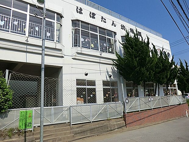 はぼたん幼稚園（650m）