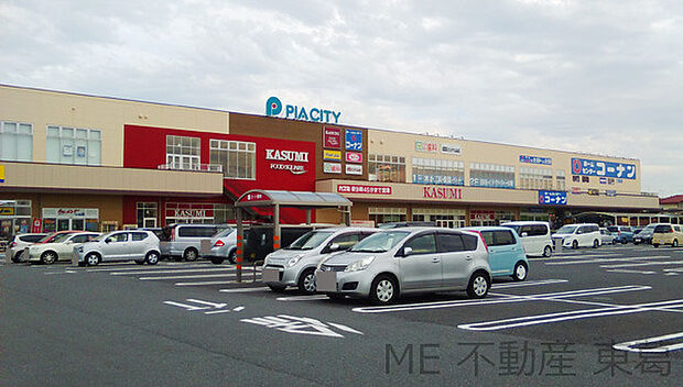 ピアシティ柏中新宿店(カスミ、マツモトキヨシ、コーナン、ダイソー)(450m)
