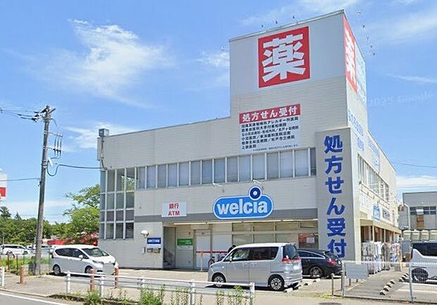 ウエルシア沼南店(450m)