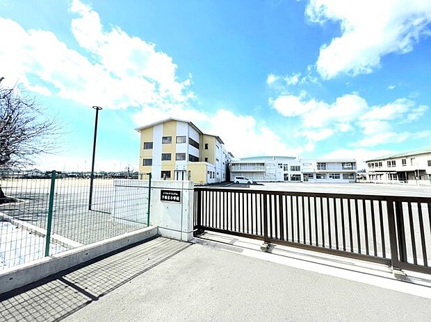 下稲吉小学校(900m)