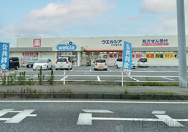 ウエルシア牛久猪子店 ウエルシア牛久猪子店　　600（600m）