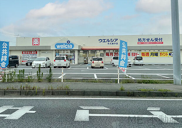 ウエルシア 牛久猪子店(600m)
