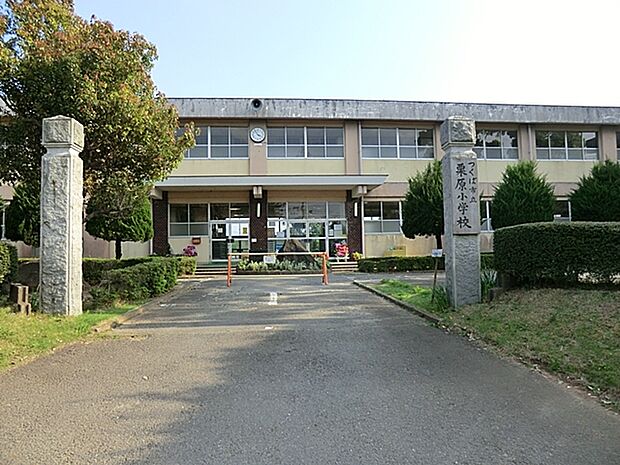 栗原小学校(1800m)