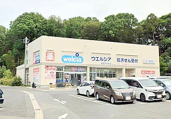 ウエルシア柏名戸ケ谷店（700m）