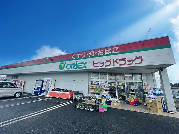 ビッグドラッグつくば自由ヶ丘店(500m)