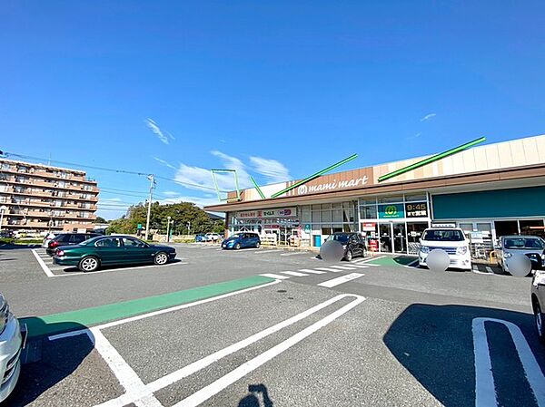 ドラッグストアセイムス　柏あけぼの店（900m）