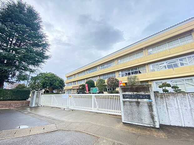 石岡市杉並小学校(1000m)