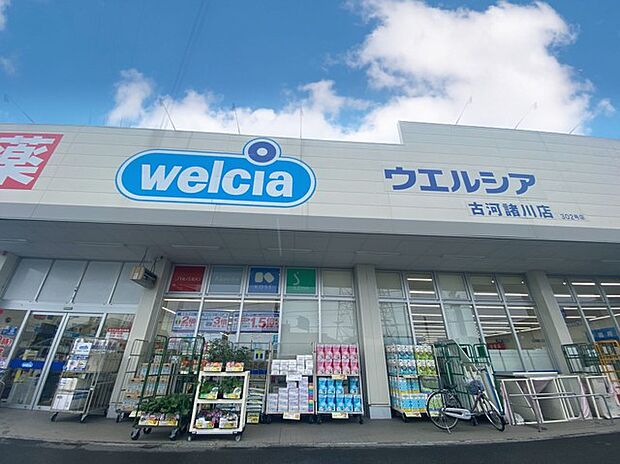 ウエルシア 古河諸川店(410m)