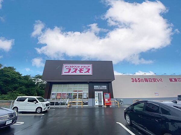 ディスカウントドラッグ　コスモス　大堤店（2500m）