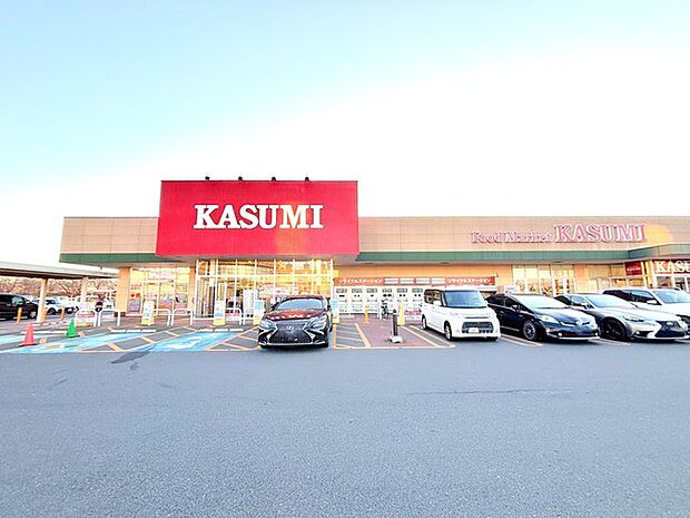 カスミ境大橋店(1100m)
