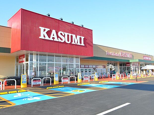 カスミ境大橋店（1100m）