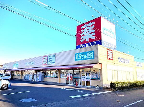 ウエルシア　牛久神谷店（700m）
