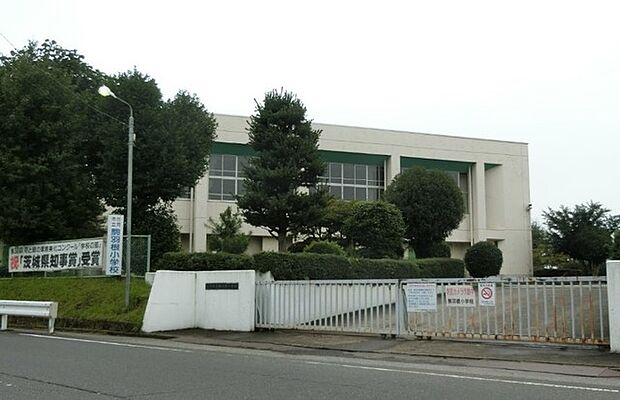 古河市立駒羽根小学校(1229m)