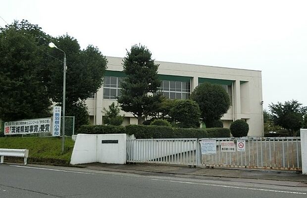 駒羽根小学校(1229m)