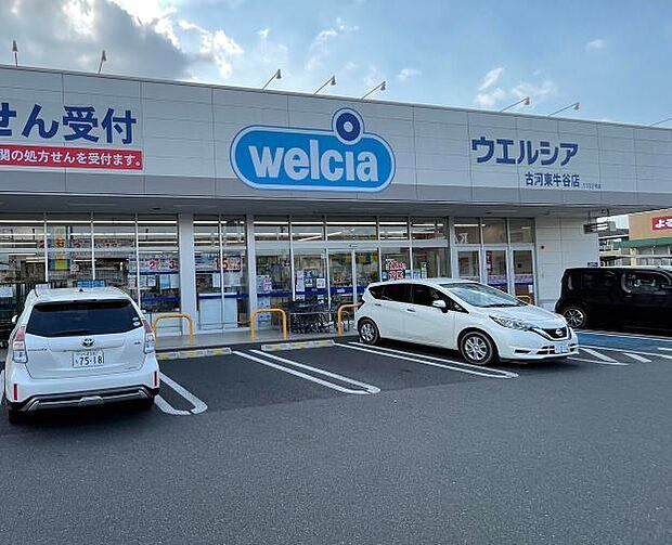 ウエルシア 古河東牛谷店(700m)