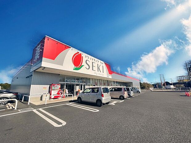 ドラッグストアセキ阿見店(1600m)