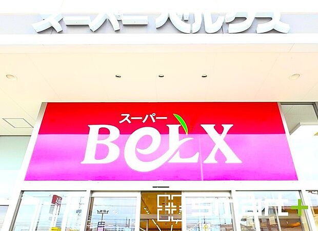 ベルクス 北松戸店(210m)