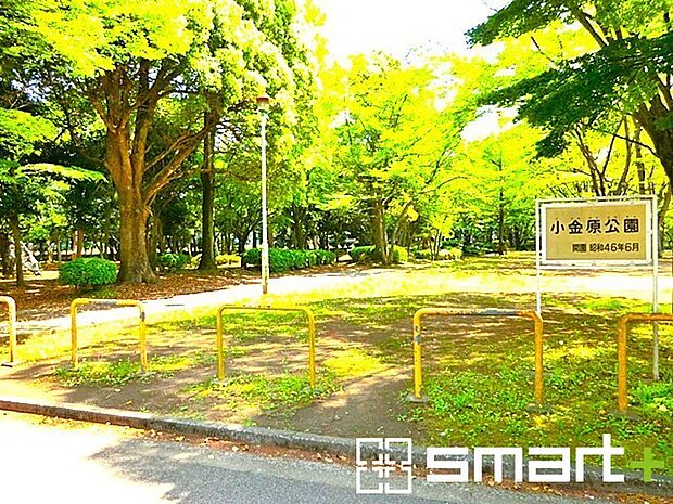 小金原公園(900m)