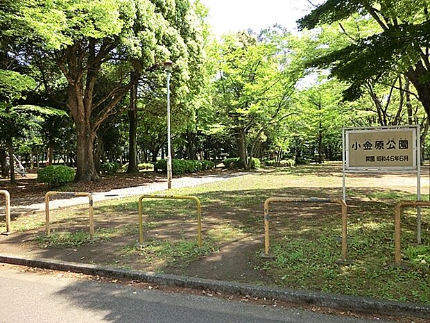 小金原公園(900m)