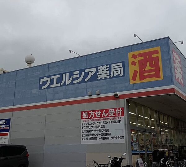 ウエルシア　市川東国分店（1100m）