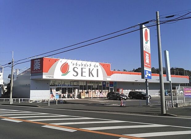 ドラッグストアセキ高柳店(1200m)