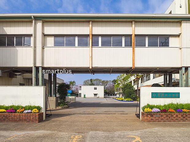 東深井小学校（800m）