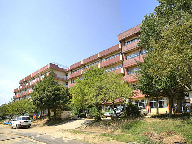 河原塚小学校(1000m)