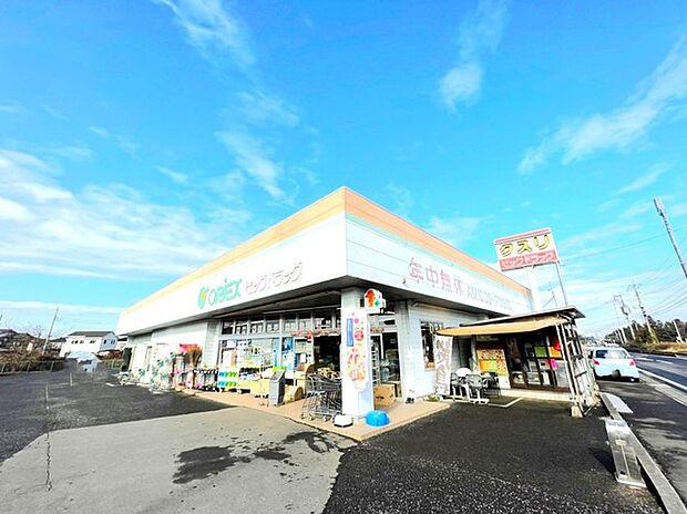 ビッグドラッグ板橋店（1200m）