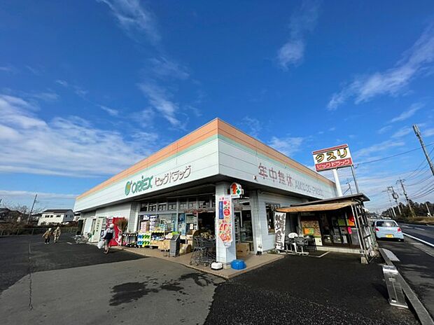 ビッグドラッグ　板橋店（1200m）