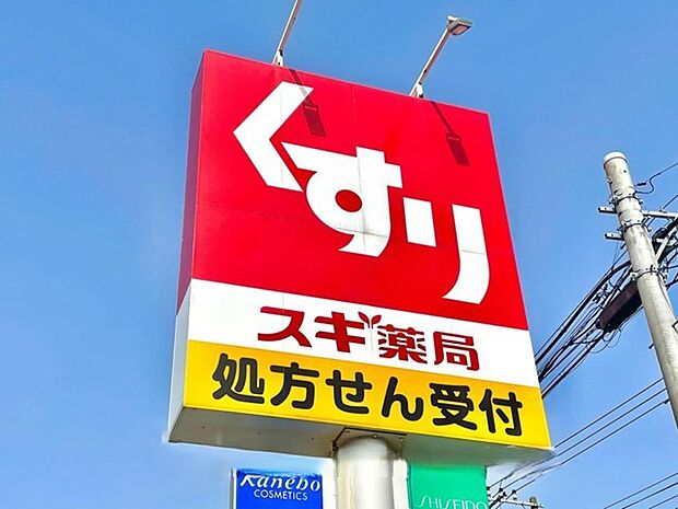 スギドラッグ アクロスモール守谷店(270m)
