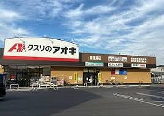 クスリのアオキ南増尾店（1000m）