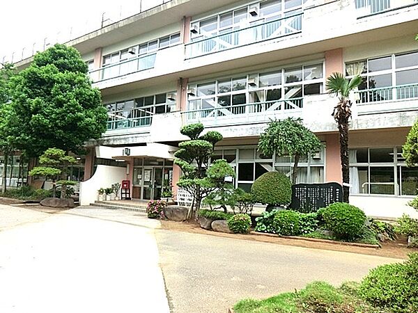 柳沢小学校（800m）