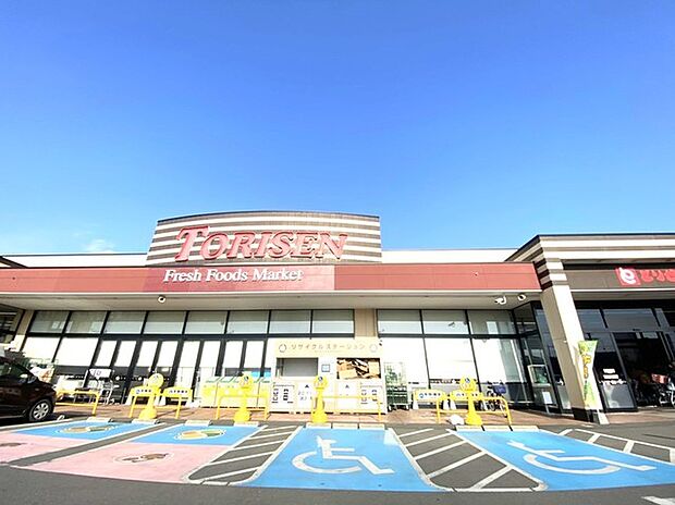 とりせん 下妻店(250m)