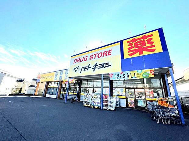 マツモトキヨシ流山野々下店(1100m)