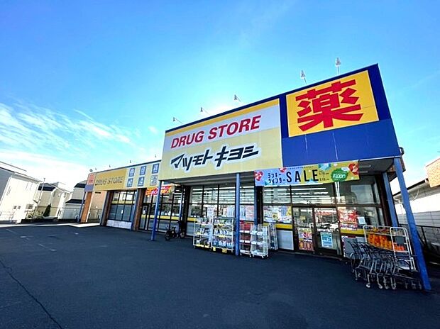 マツモトキヨシ流山野々下店(1100m)