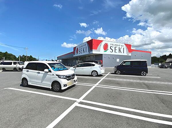 ドラッグストアセキ　稲敷店（960m）