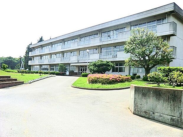 山崎小学校（500m）