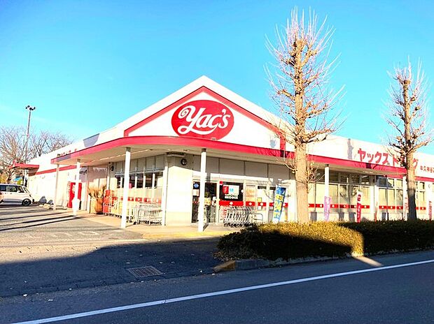 ヤックスドラッグ 牛久神谷店(1100m)