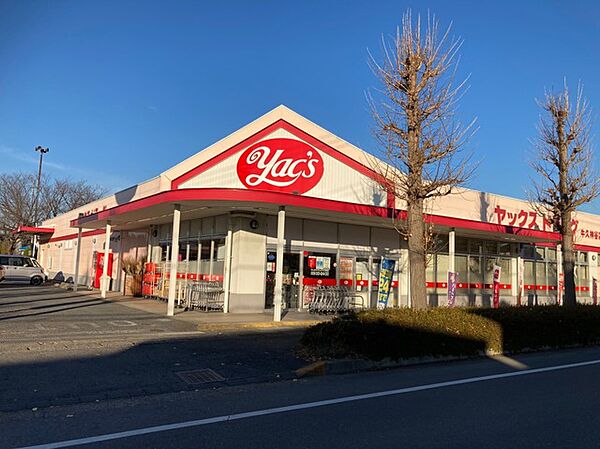 ヤックスドラッグ　牛久神谷店（1100m）