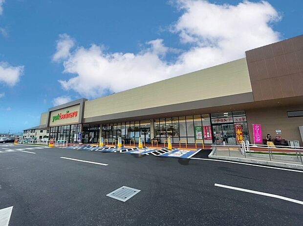 ヨークベニマル牛久上柏田店(1100m)