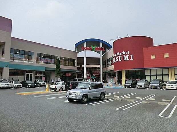 アクロスモール守谷店(1000m)